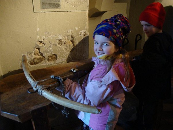 Crossbow Arrows